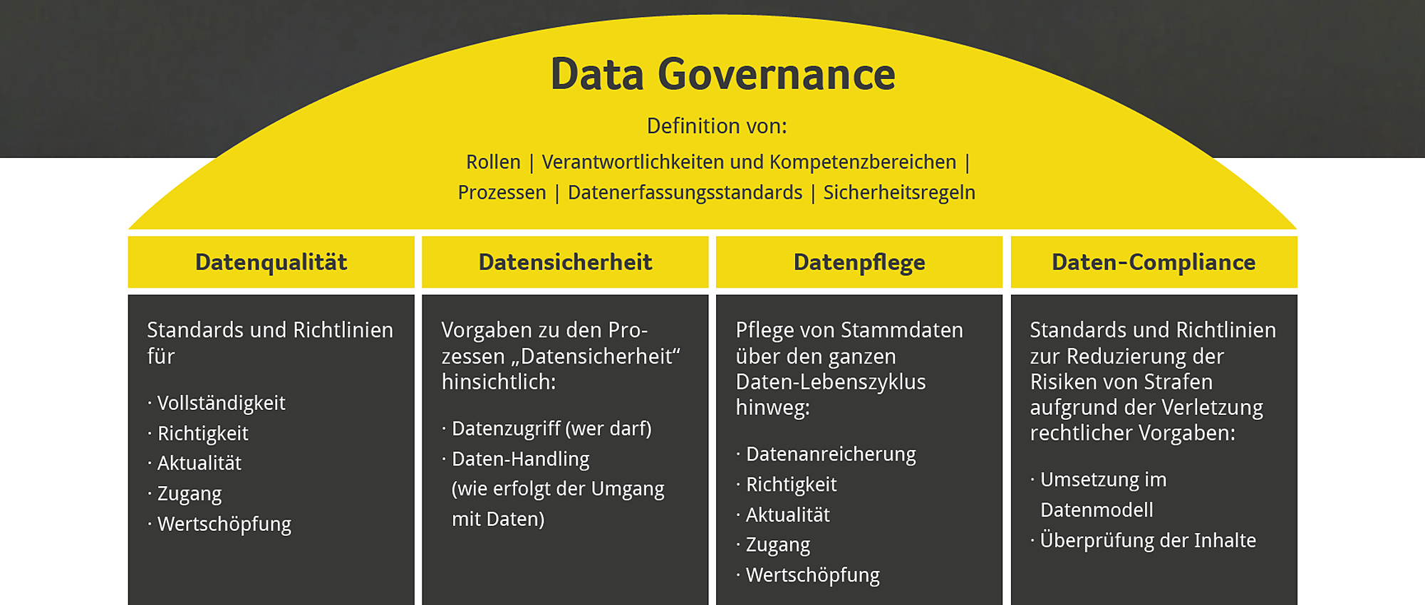 Wertvolles Datenmanagement - Grafik Data Governance