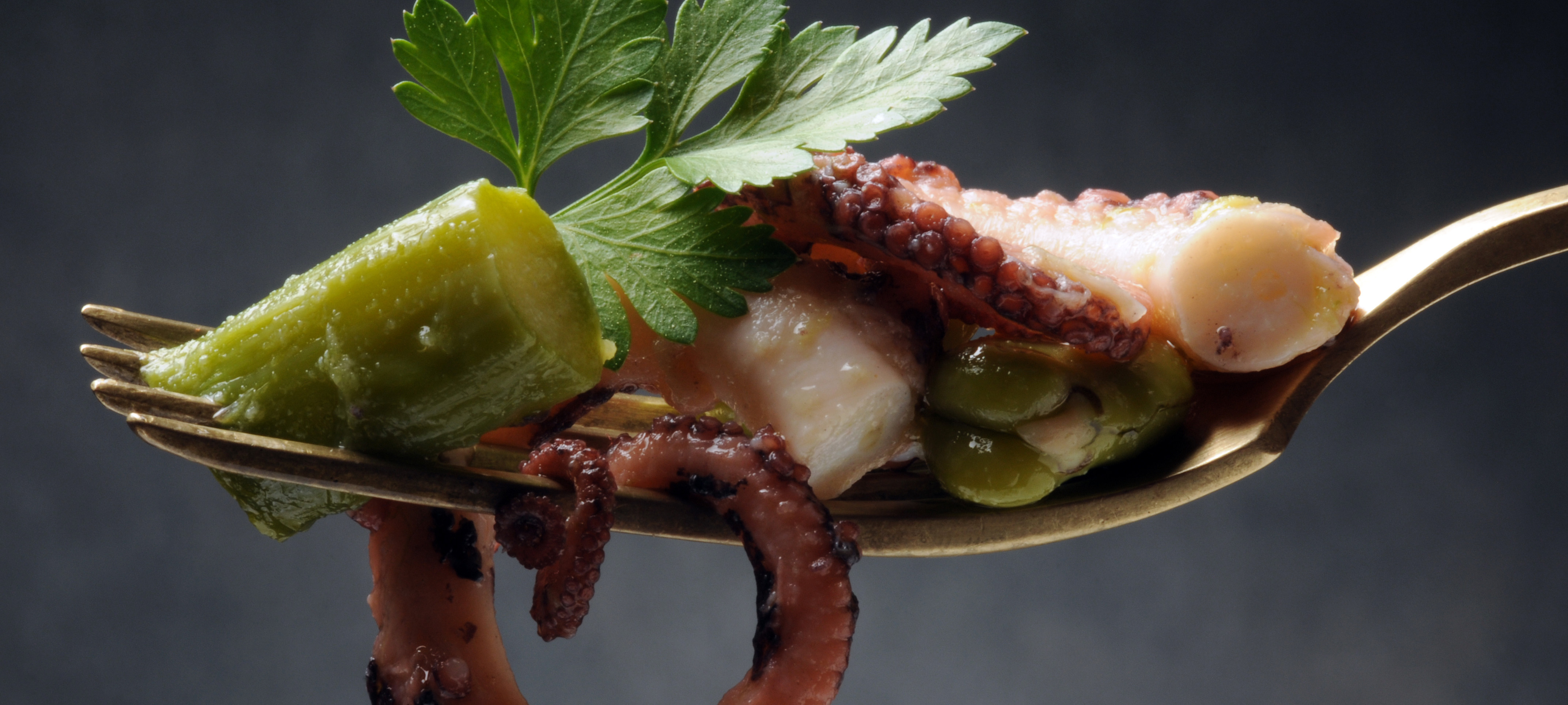 pulpo_herobild
