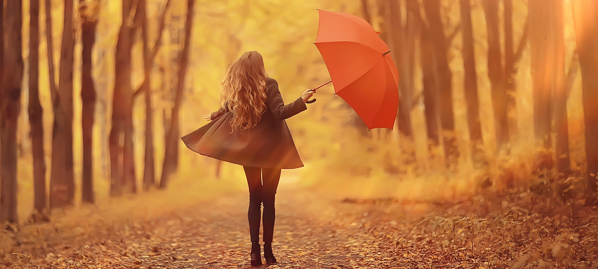Herbstliche Stimmung, eine Frau mit Regenschirm steht auf einem Waldweg