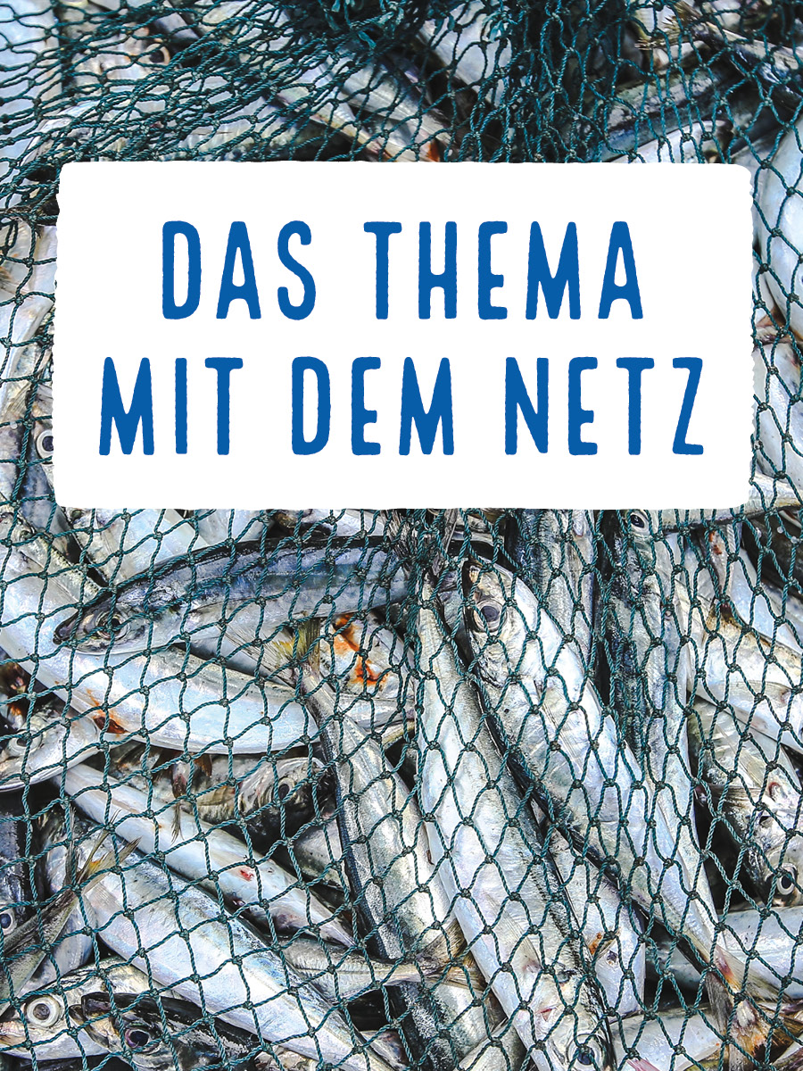 check deinen fisch contenbild